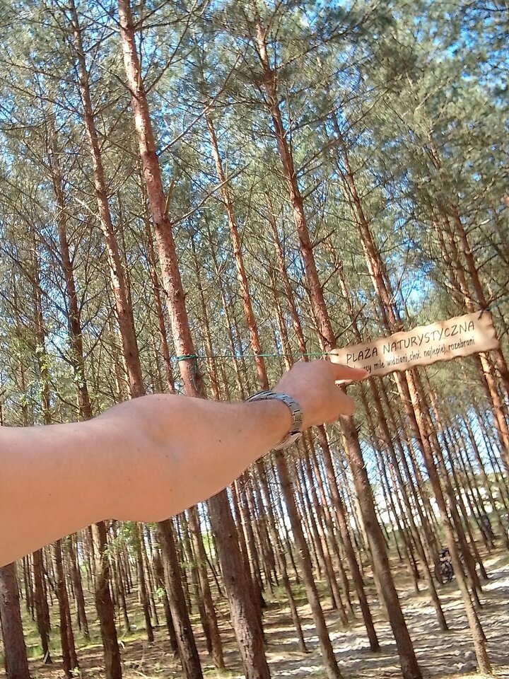 Piaski 2024 - Maverick2