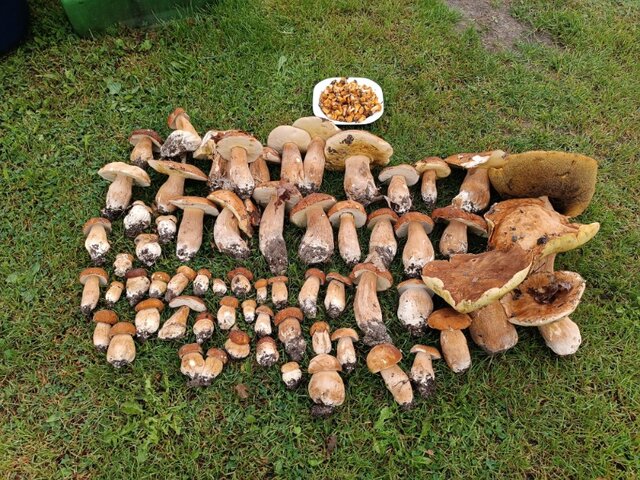 1000001111.jpg - Geralt197