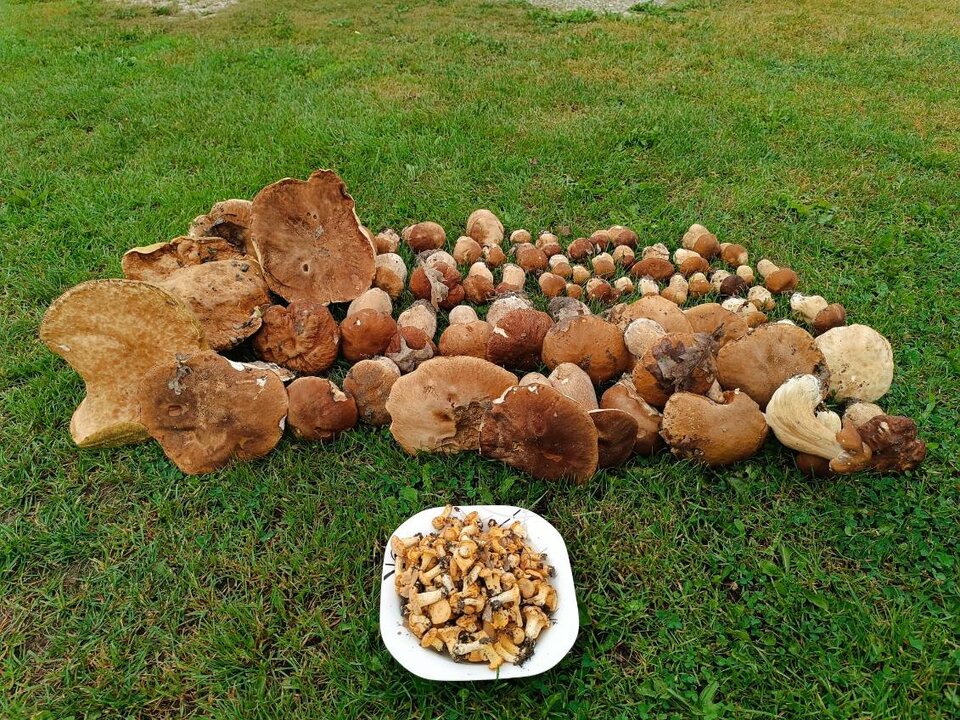 1000001110.jpg - Geralt197