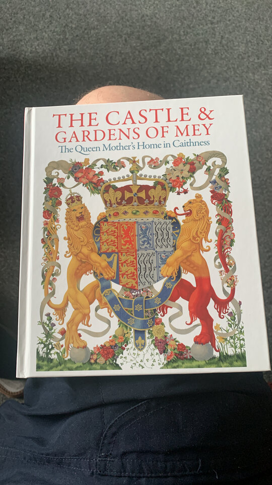 73134ED3-165E-4D4B-968D-5174C483A079.jpeg - tom745