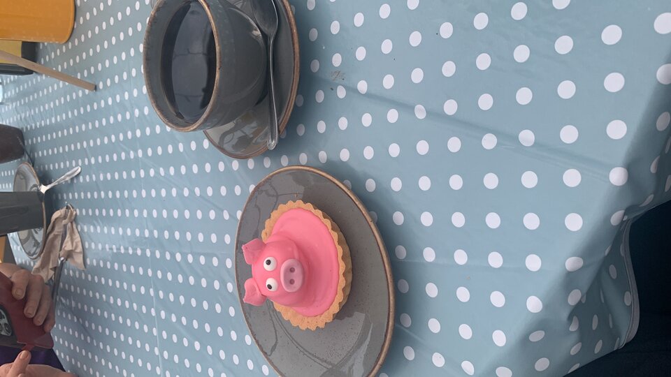 45FCD206-048A-49F0-B8B4-C08144EE5711.jpeg - tom745