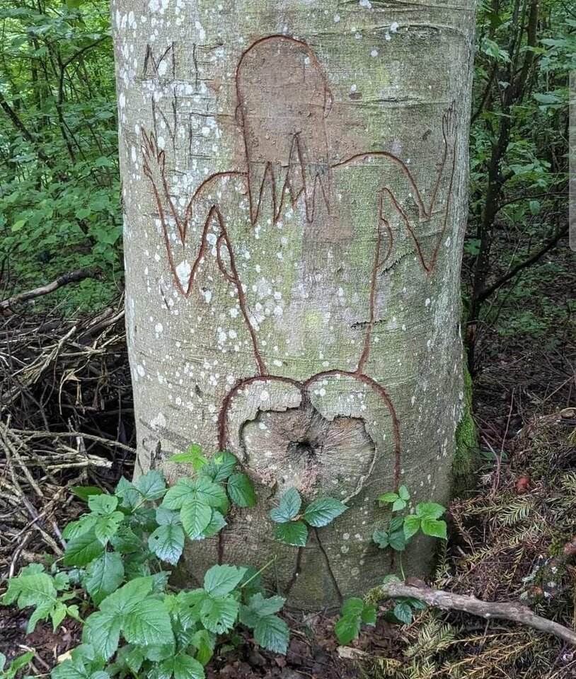 ...Skradzione gdzieś tam... - Konkretny_76