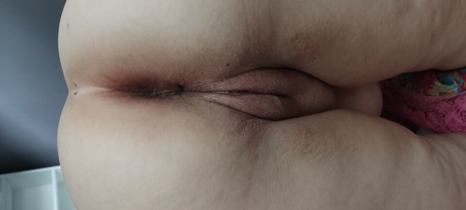 1000037800.jpg - Parakochaseks