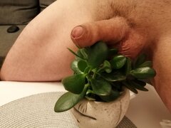 Na szczęściu osiadłem.jpg