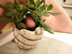 W szczęściu się pławię.jpg