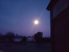 IMG_20231228_064238.jpg