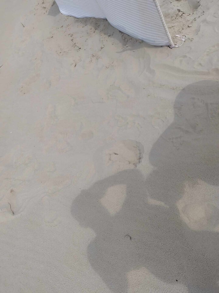 Messenger_creation_0c06e1a3-e39a-42b8-8369-f7f6f060b667.jpeg - 69EwaAdam69