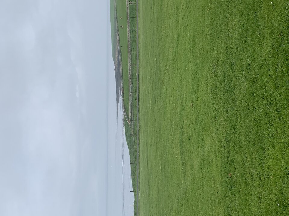 IMG_1988.jpeg - tom745