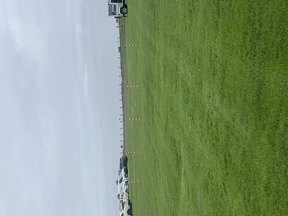 IMG_1989.jpeg - tom745