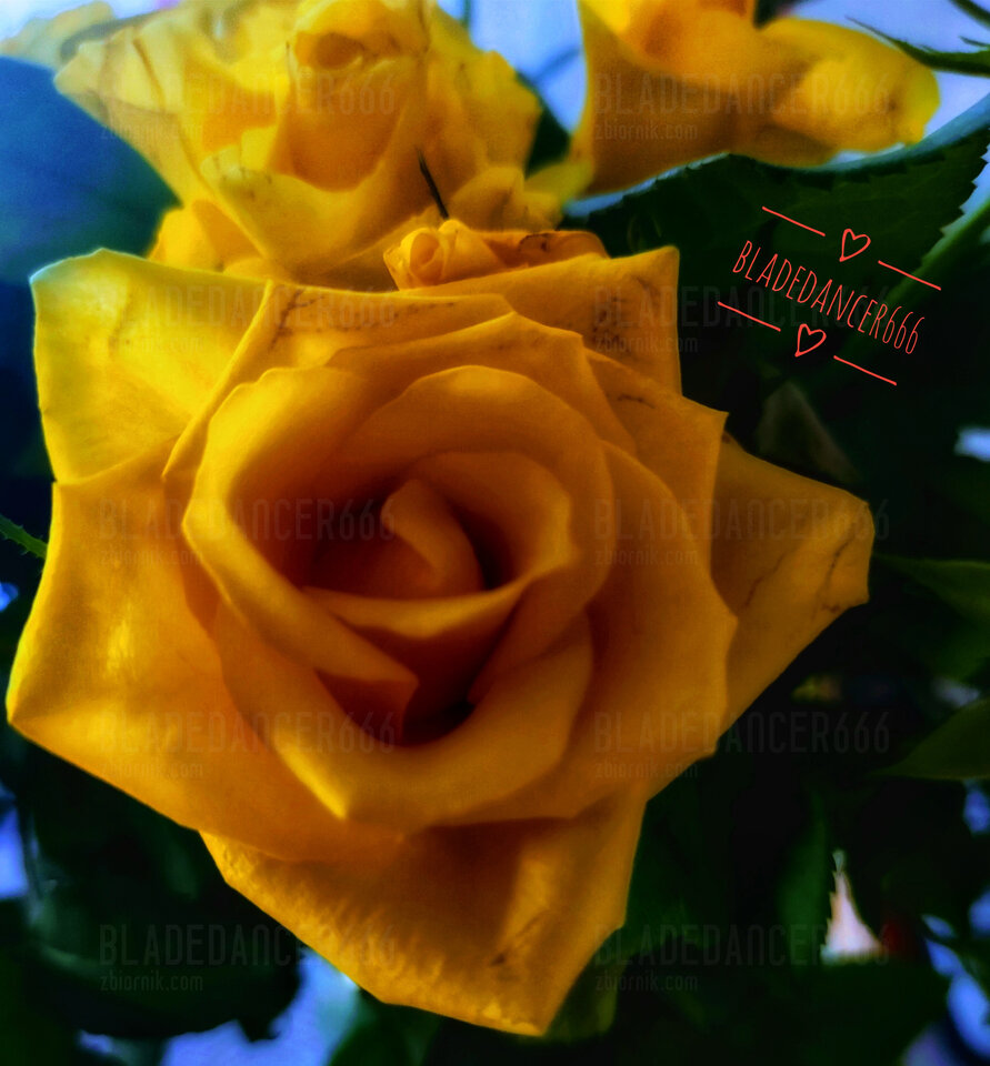 1000036031-01.jpeg - Bladedancer666