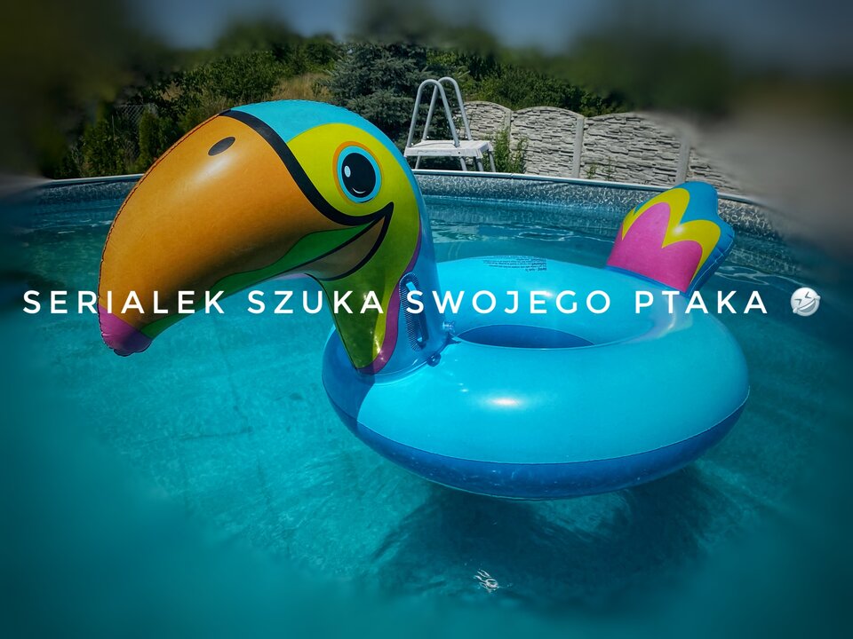 🦅🆙 - serialowapara19782