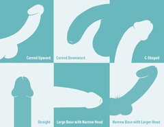 257877-There_Are_20_Different_Penis_Types-and-They_are_All_Norma
