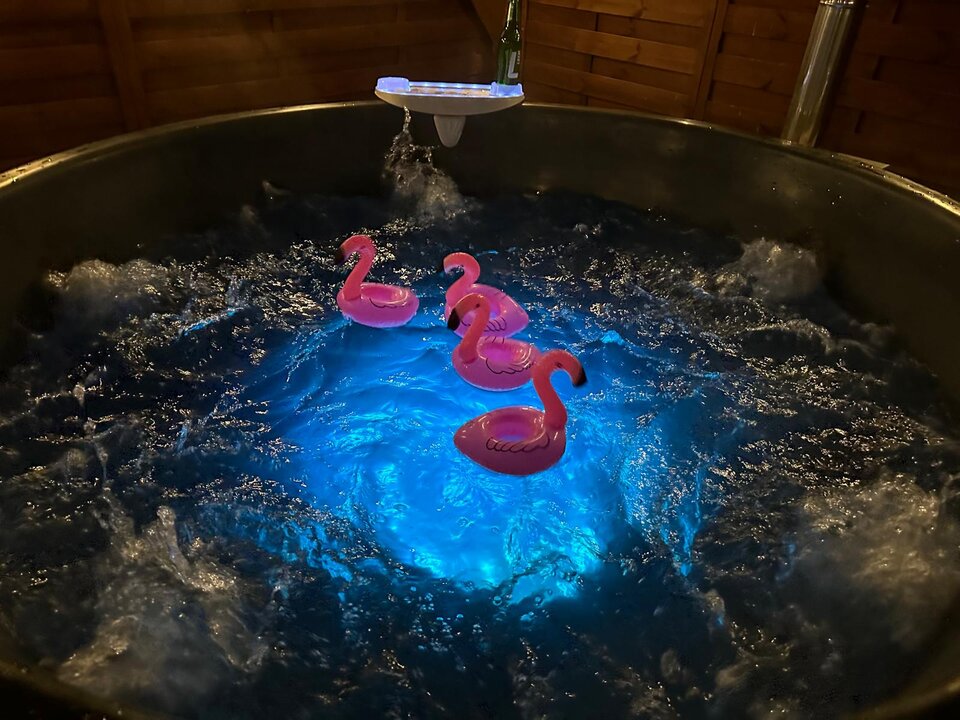 IMG-20240603-WA0000.jpg - 1982Cine