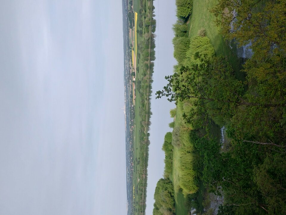 IMG_20240503_184144891_HDR.jpg - Igor7