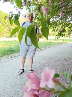 Kamienna Góra w Gdyni 