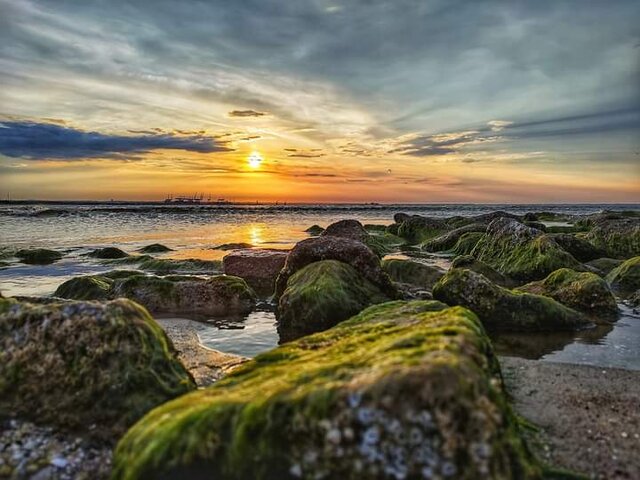 FB_IMG_1717141783132.jpg - wamax48