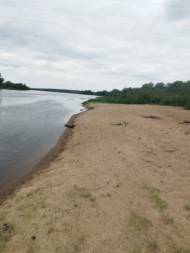 IMG_20240604_120119.jpg - Lear69