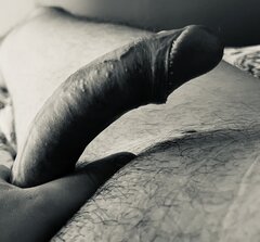 IMG_3661.jpeg