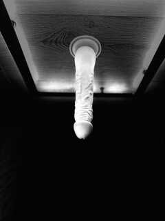 IMG_4477.jpeg
