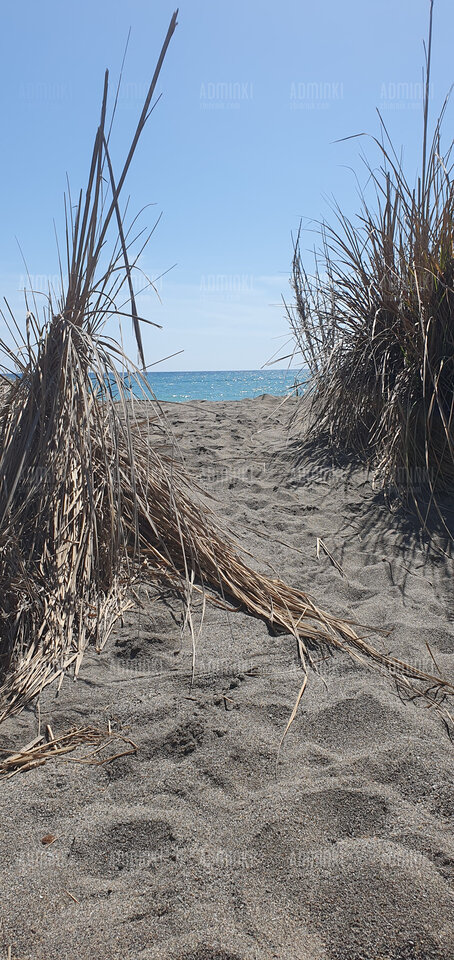 🌞🌞🏖🏖 - Adminki