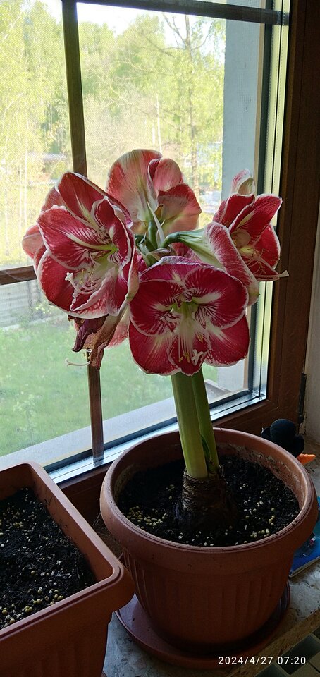 fe126bfa-18cc-489b-b2c6-c40295831b0c-1_all_3.jpg - Geralt197