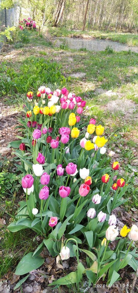 fe126bfa-18cc-489b-b2c6-c40295831b0c-1_all_21.jpg - Geralt197