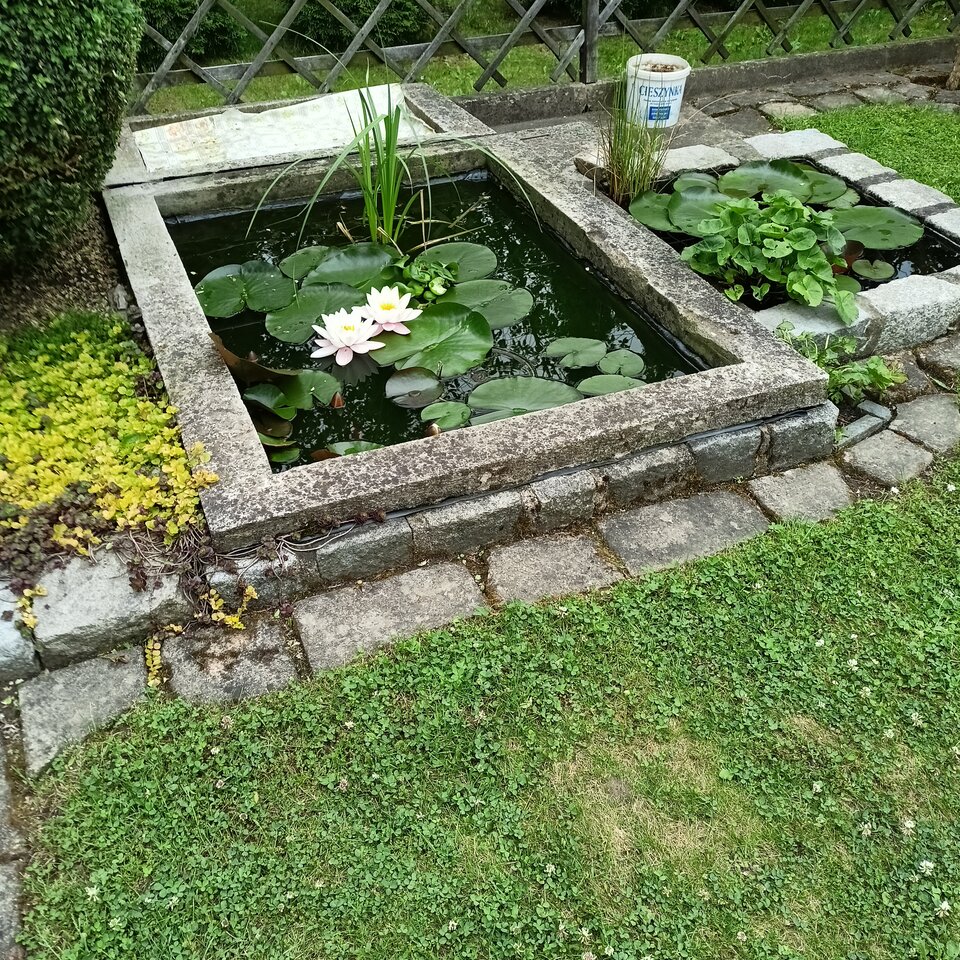 IMG20240603152441.jpg - Zapamietaj3