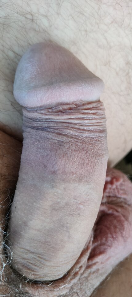 1000017639.jpg - szatan24
