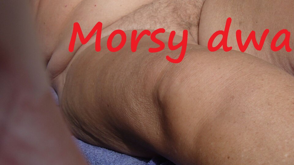 Cipka. - Morsy_dwa