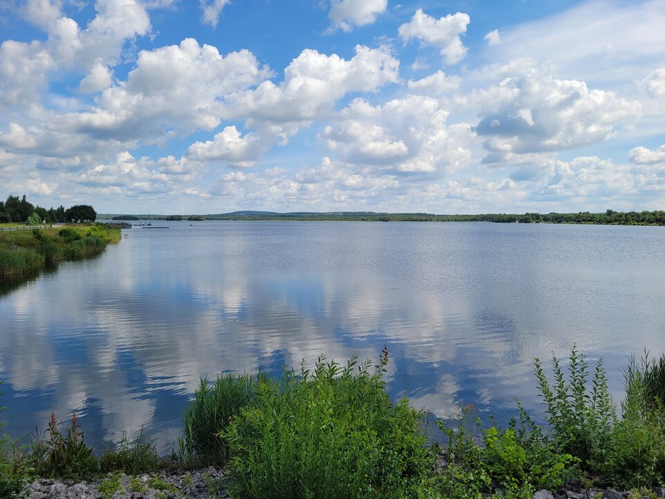 20230731_111123.jpg - Marcin4181