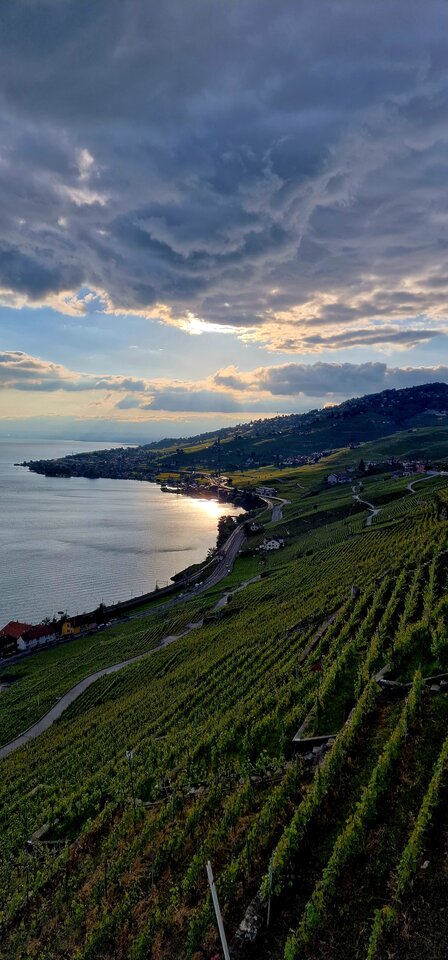 1000004699.jpg - Evian1245890