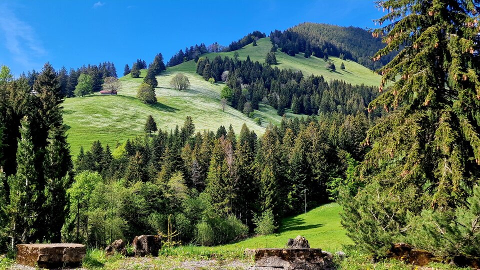 1000004494.jpg - Evian1245890