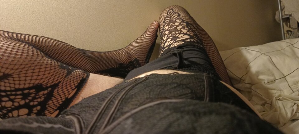 17176236505771359314573566449461.jpg - Palciusia