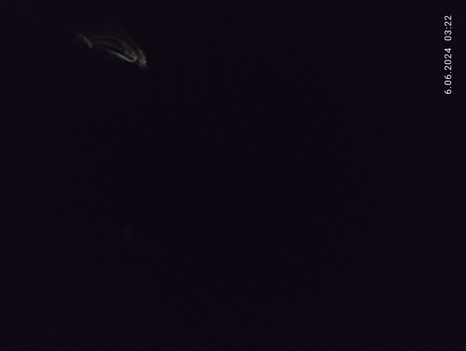 1717636826380..jpg - Megablef