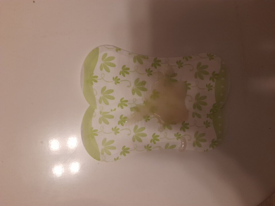 20240507_061406.jpg - 2igodles15cm