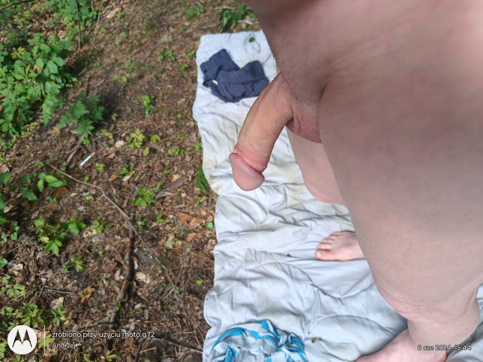 IMG_20240606_154419111.jpg - Kinioka