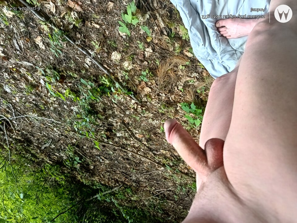 IMG_20240606_154305197_HDR.jpg - Kinioka