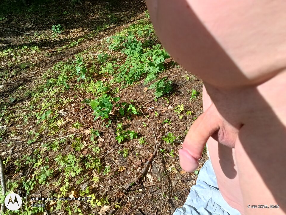 IMG_20240606_154544780_HDR.jpg - Kinioka