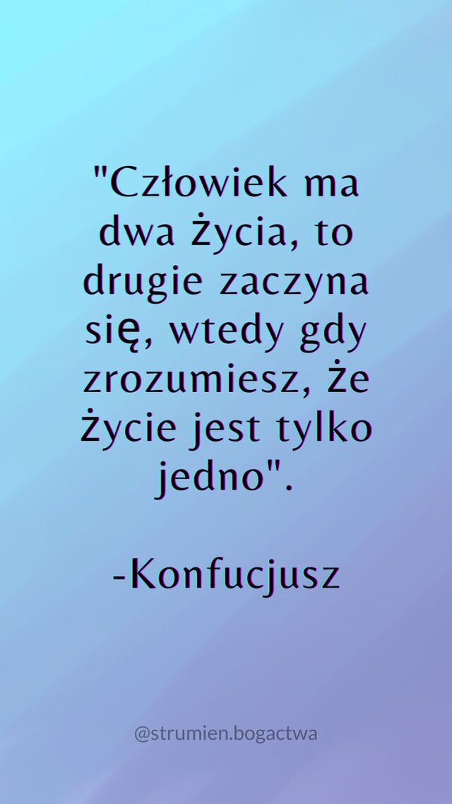 Kociak626