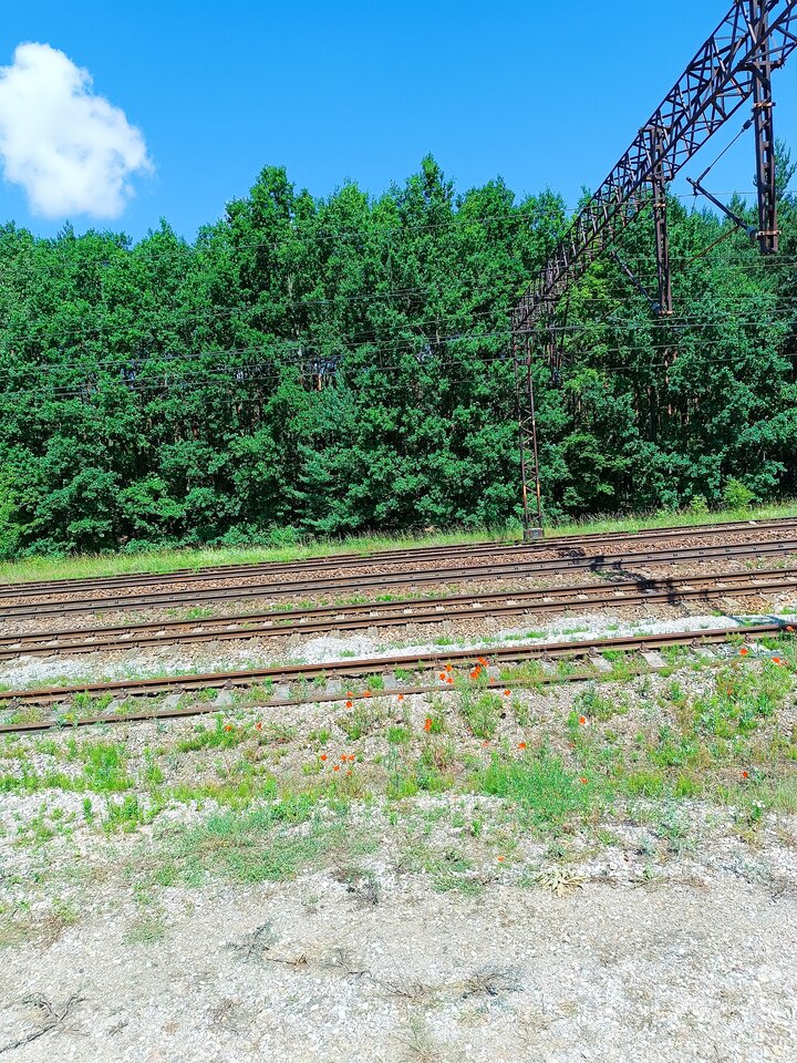 1000010428.jpg - Driver3210