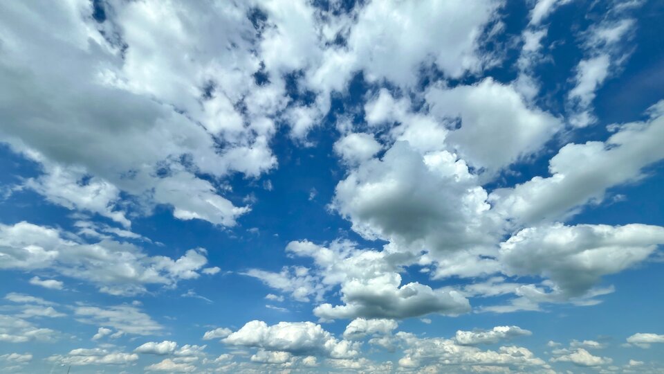 IMG_6782.jpeg - Samatia75