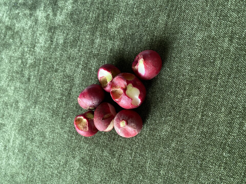 IMG_2338.jpeg - May_Day