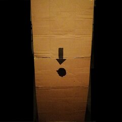 IMG_20240607_171017.jpg