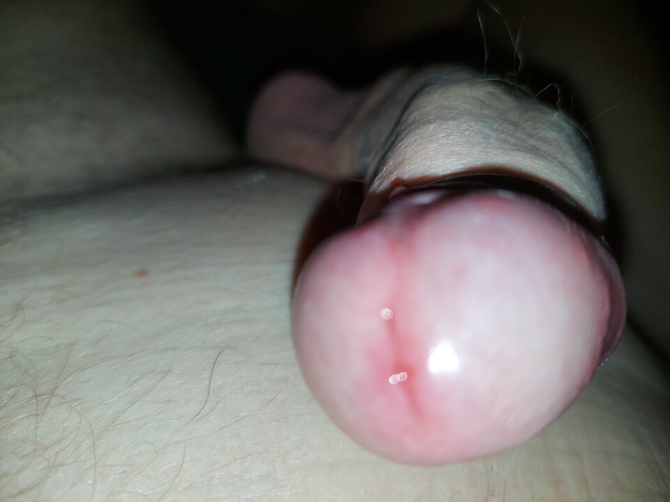 20240607_233348.jpg - Adamus_1976