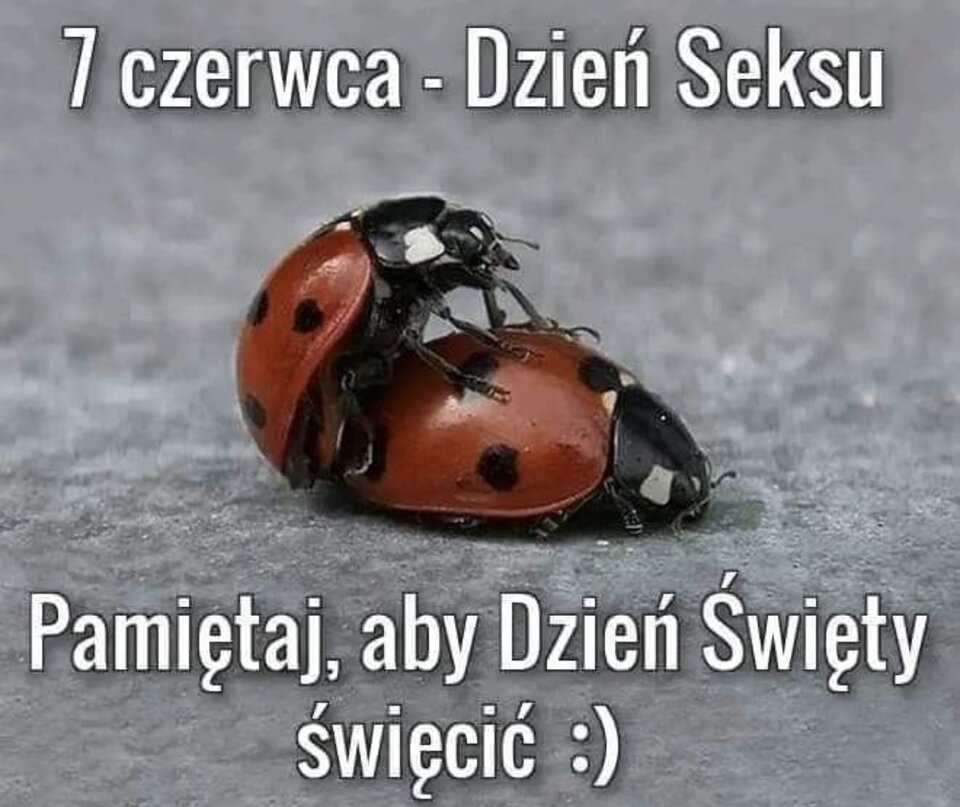 1000043206.jpg - tomasz1108