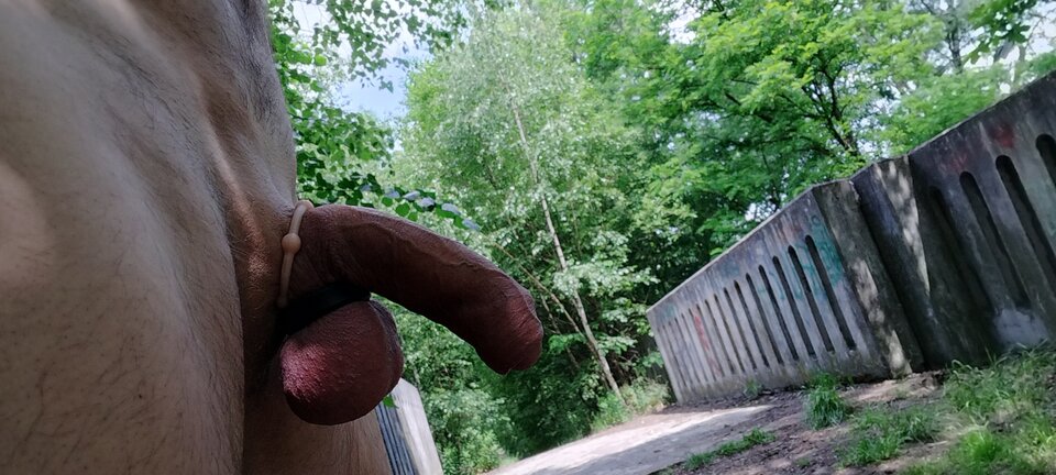 IMG20240605134521.jpg - kris73slaskie