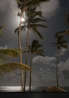 Buenas noches❤️Gracias