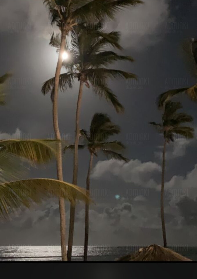 Buenas noches❤️Gracias - Adminki