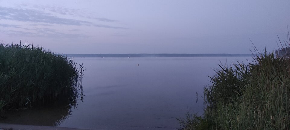 Kiedy ranne wstają zorze 😎 - ParaKatharsis