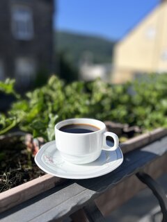 IMG_6222.jpeg
